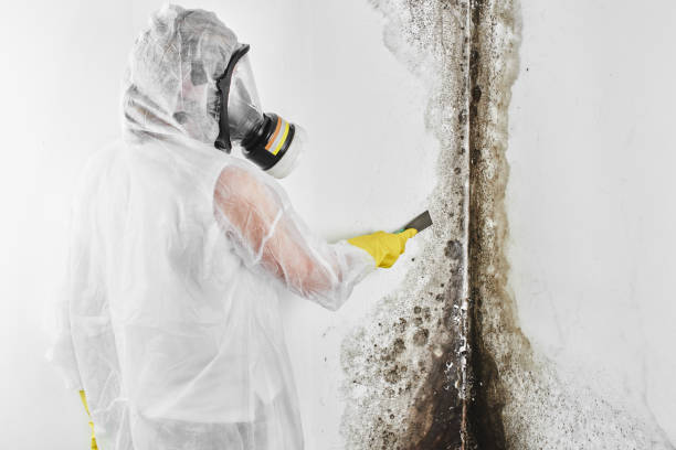 Best Emergency Mold Remediation  in Fairview, OK